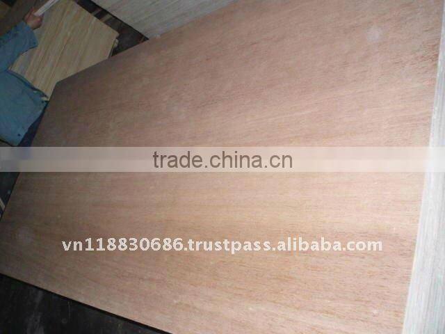 TOP Exporting Eucalyptus plywood