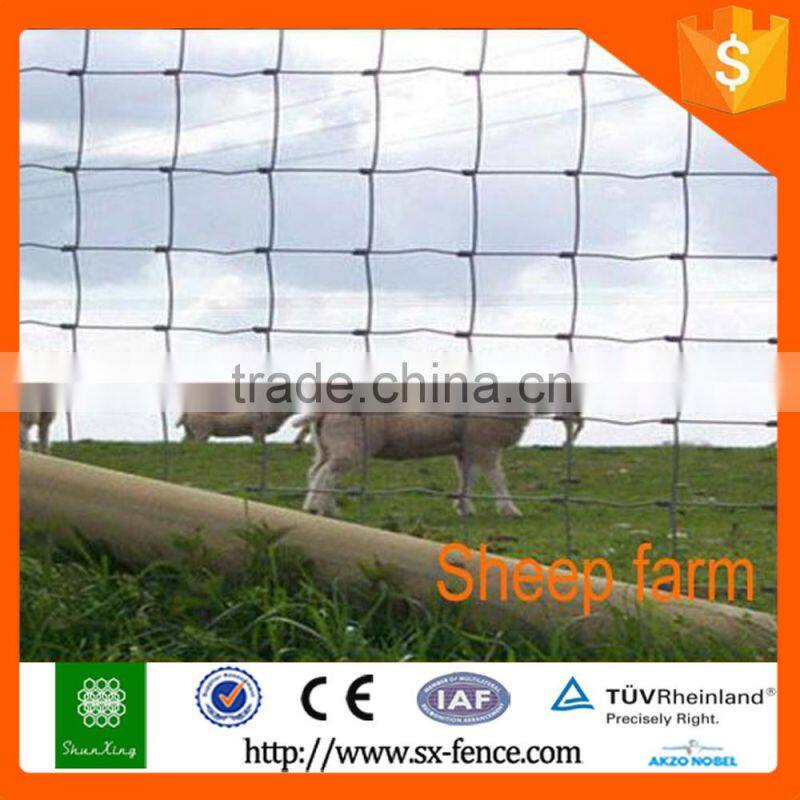 Woven Sheep wire fencing