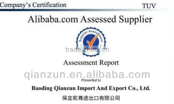 Flat Brim Custom Print 5 Panel Cap