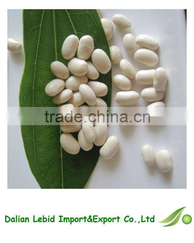 2016 Crop Dry Export Broad Beans Japanese Type For Sale