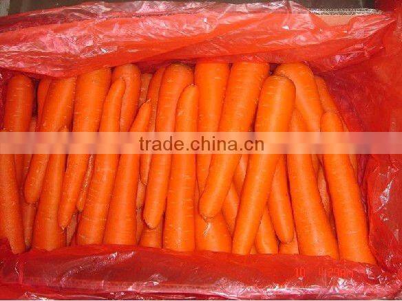 cheap carrots