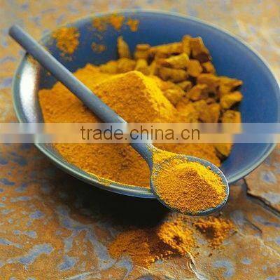 GMP Manufacturer Supply Natural Curcuma Longa Rhizome Extract Powder