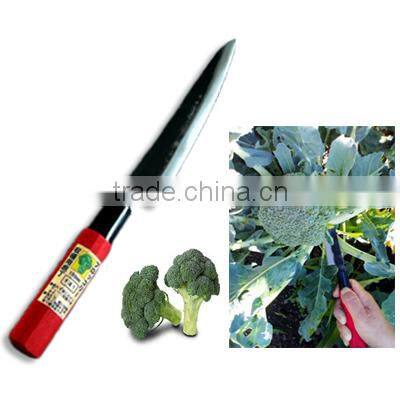 Strong and Safe high quality Japanese vegetable harvesting knives