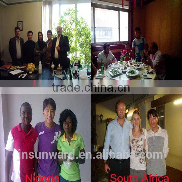 autometic and small scale snack food production line with CE