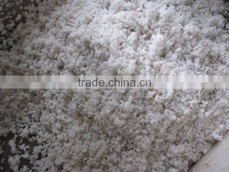 Automatic coconut grinding machine 220V 240V 380V