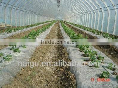 China GuangDong plastic film PE PVC for packaging,making bags,greenhouse,mulch film