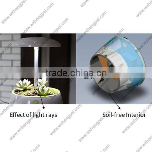 Mini hydroponic smart garden