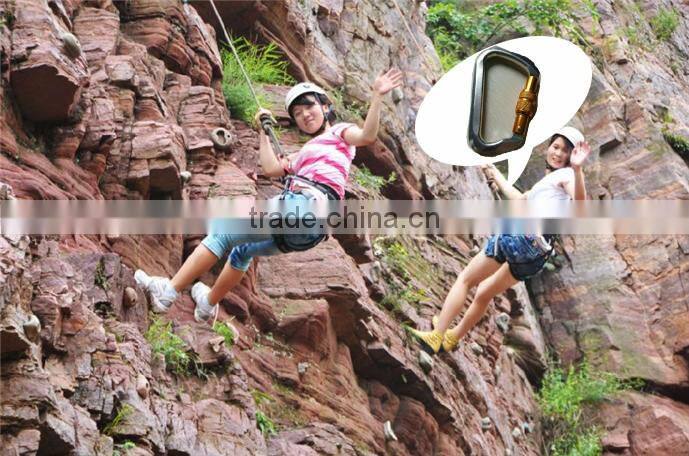 High load bearing professional outdoor activity safety carabiner