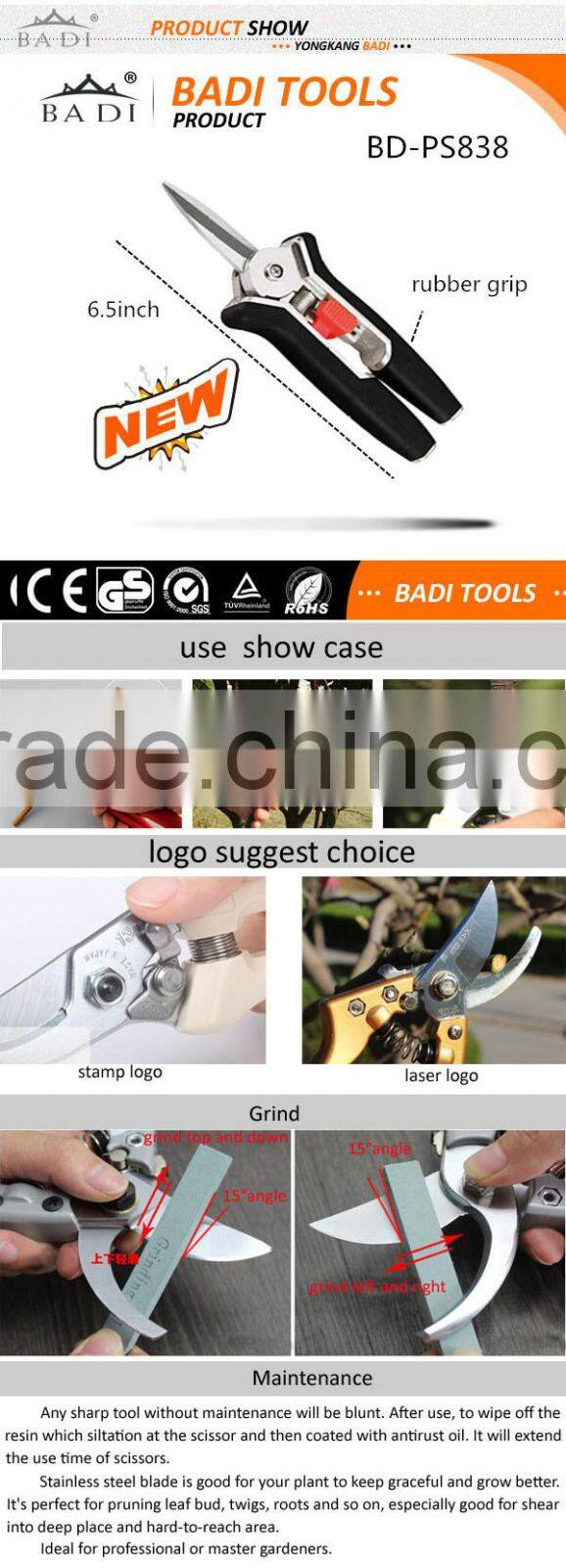 Amazon popular Fruit Tree flower Pruner shear