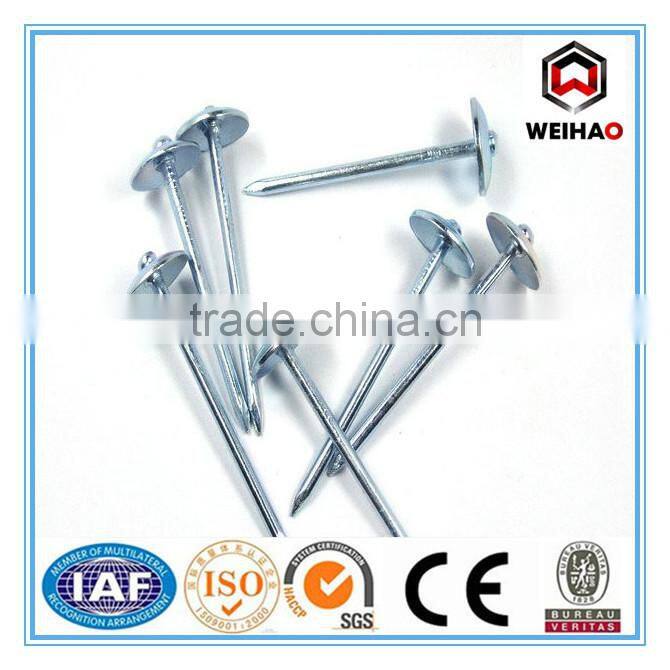 ISO 9001 Electro Galvanized Mushroom & umbrella head roofing nails