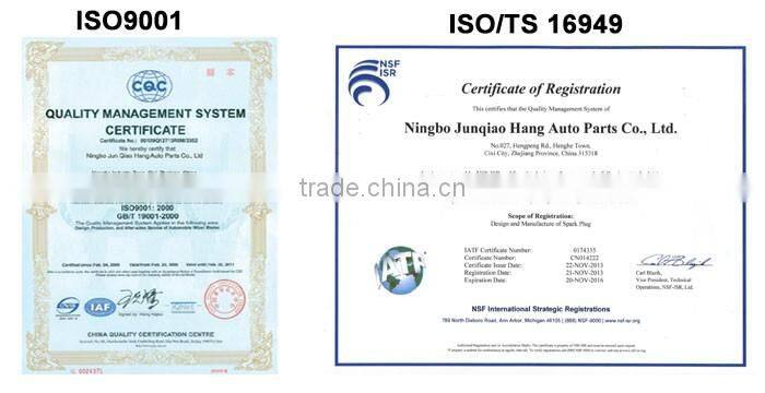 alibaba exporter popular manufacturer coil pack ignition