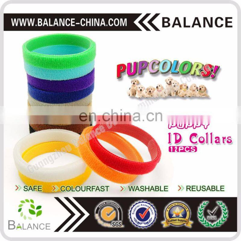 Hook & Loop Puppy Kitten ID collar with 12 colors