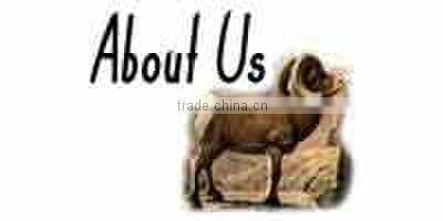 Archery hunting broadheads arrowheds Linkboy Shocker 100gr Small Game Broadhead