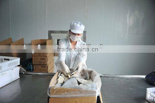 Frozen Ribbon fish WR