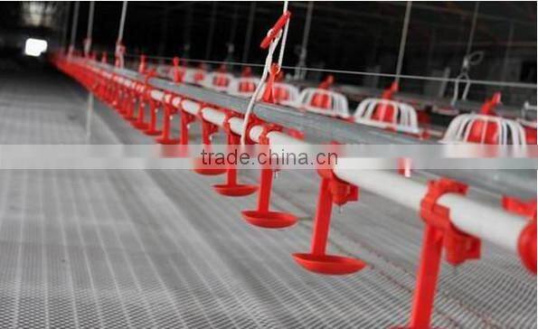 The chicken with a water fountain Chicken water fountain Large chicken with a water fountain