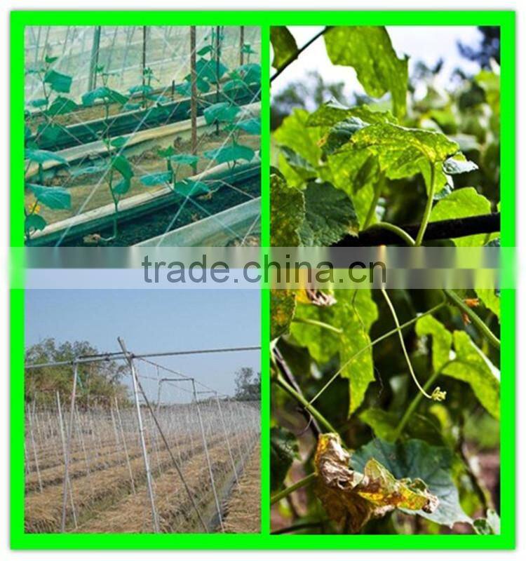 pure HDPE climbing plant supporting net