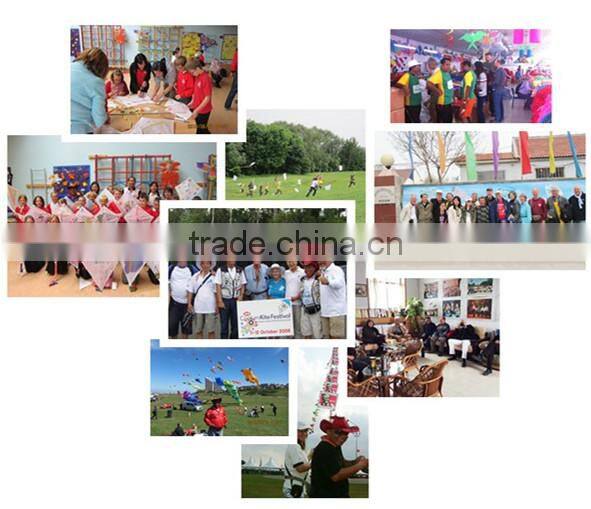 from the factory bat cheap simple led light kite