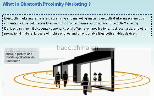 Bluetooth Access Point