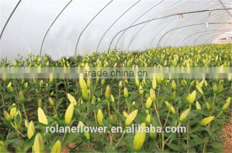 Cheap wholesale diamond cutting disc 230mm cutting board key cutting machine with 1kg/bundle from Yunnan, China