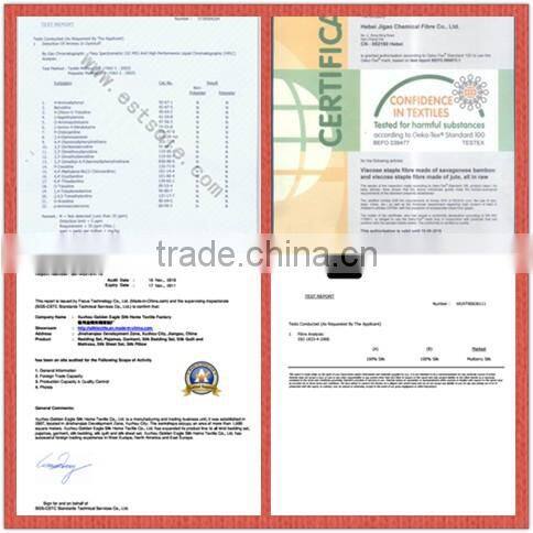 Winter Comfortable 100% Silk Quilt