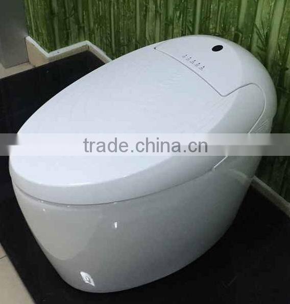 Warm water washing Automatic Operation Sanitary Ware Smart Toilet