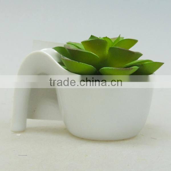 beauty plastic pot succulents for home decoration