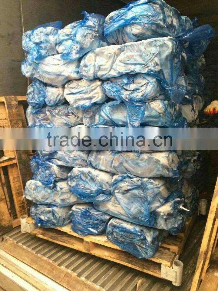 frozen leather jacket fish