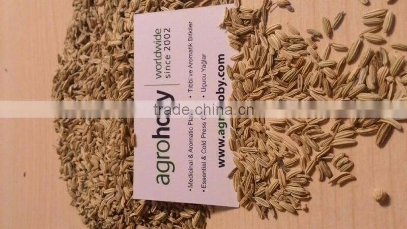 Turkish origin Fennel Seed factory