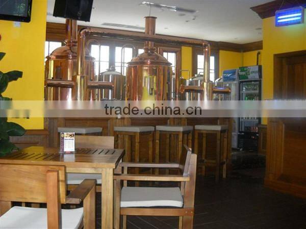 professional electric brewing system 200l micro brewing system