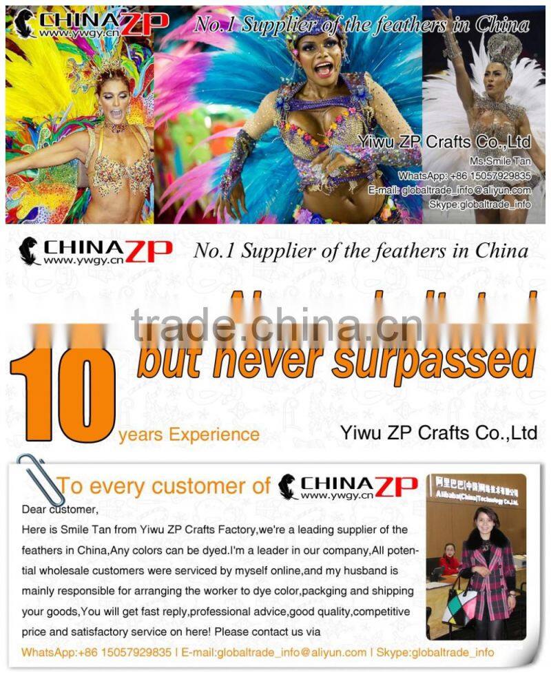 Top Supplier CHINAZP Bulk Sale Good Quality Wonderful Bleached White Long Silver Pheasant Tail Feathers Right