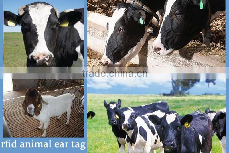 MDAT32 Programmable rfid uhf animal ear tag for cattle