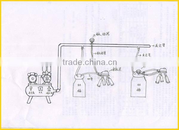 pipeline milking machine group two buckets