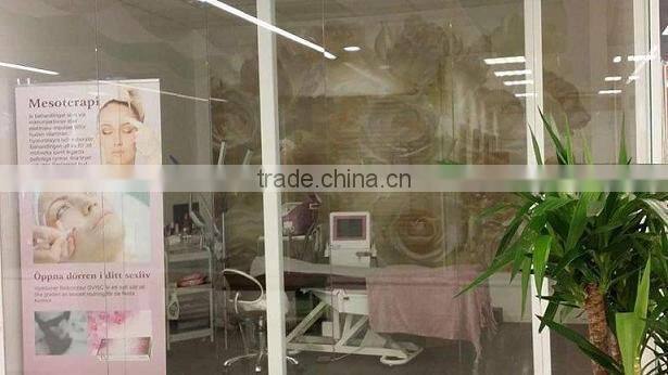 4 handles MINAS skin care machine/ fractional rf thermal anti aging and wrinkle removal machine