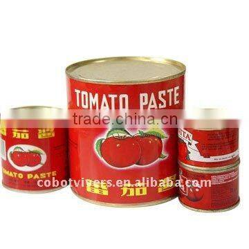 canned fresh vegetable bamboo shoots