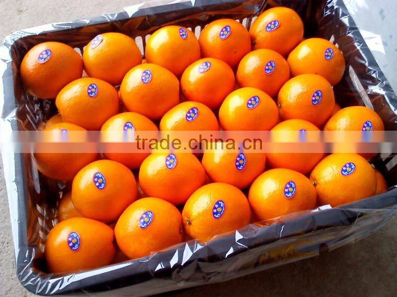 2015 fresh navel orange from jiangxi on sell