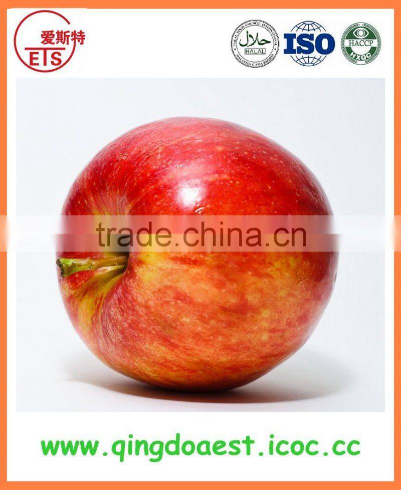 Delicious taste blanched and split peanut kernel with high quality