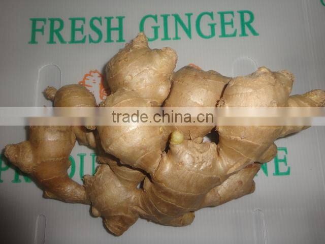 2014 new Fresh air dried ginger