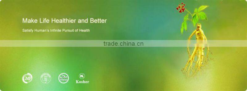 Dandelion Extract, Taraxacum Officinale Extract, Flavone