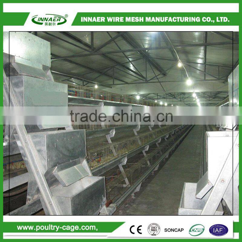 Animal & Poultry Husbandry Equipment layer chicken cages with auto water system