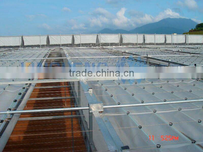 PE Plastic Film Greenhouse