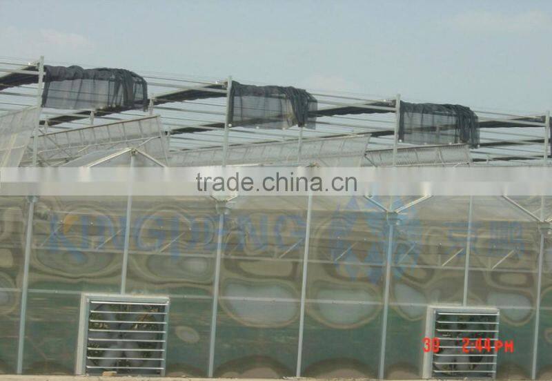 Fully openable roof film greenhouse ISO9001:2000