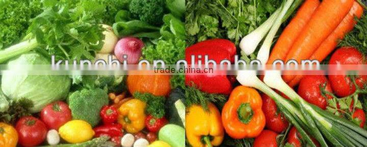 Hot sale vegetable dehydration machine