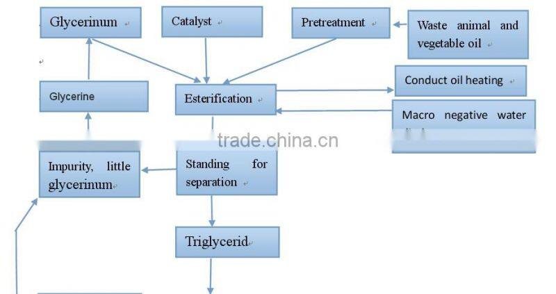 waste vegetable oil/jitropha oil to biodiesel biodiesel for sale