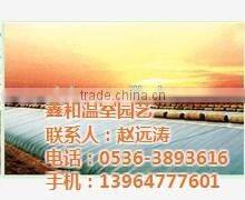 Multi-Span Glass Greenhouse for Flowers