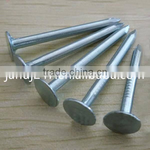 Galvanized Cupper Nails with Factory Price