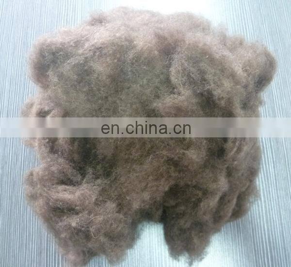 Carded chinese sheep wool with low wholesale price