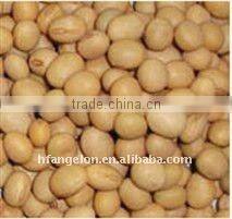Soybean Color Sorter