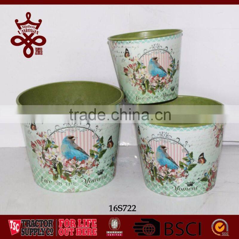 Potted Plants Colorful Window Boxes Shabby Chic Outdoor Planters