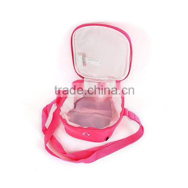 thermoelectric cooler bag,solar powered cooler bags,refrigerated cooler bags