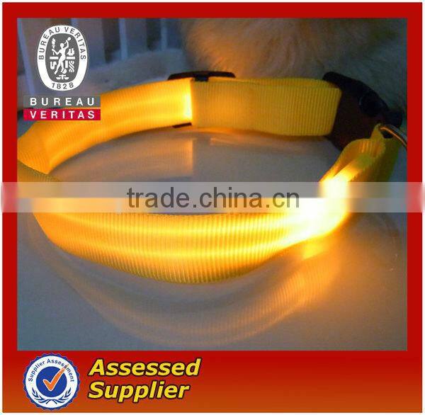 without MOQ pet collar and leash with flash light